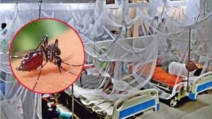 ২৪ ঘণ্টায় ডেঙ্গুতে ৭ মৃত্যু, হাসপাতালে ভর্তি ১৮৭২